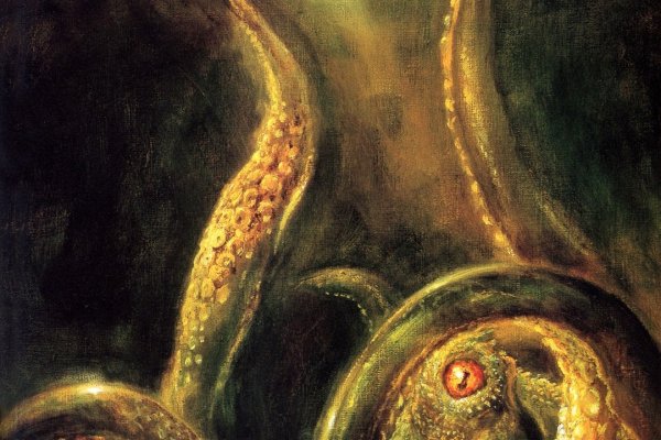 Kraken 22 аt