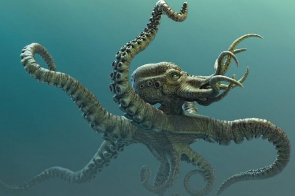 Кракен сайт 1kraken me официальный