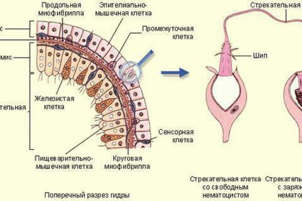 Браузер кракен