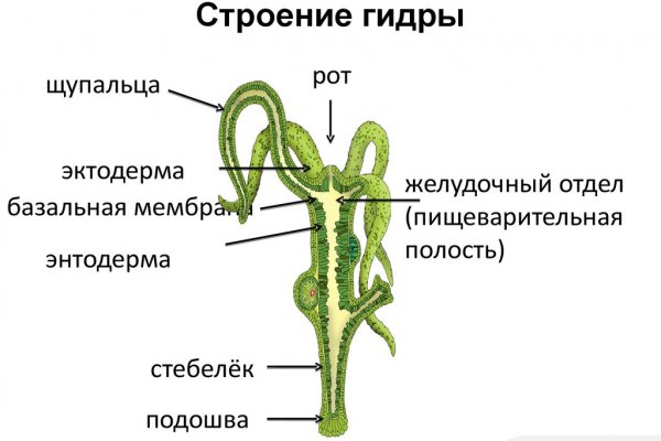 Кракен мефедрон