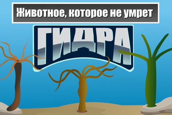 Что такое кракен площадка