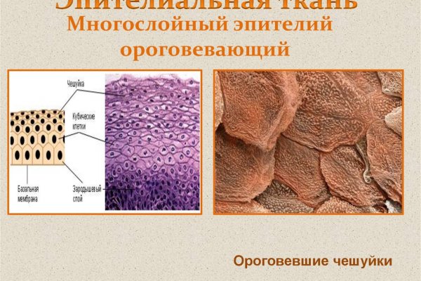 Кракен зеркало krakenat2krnkrnk com