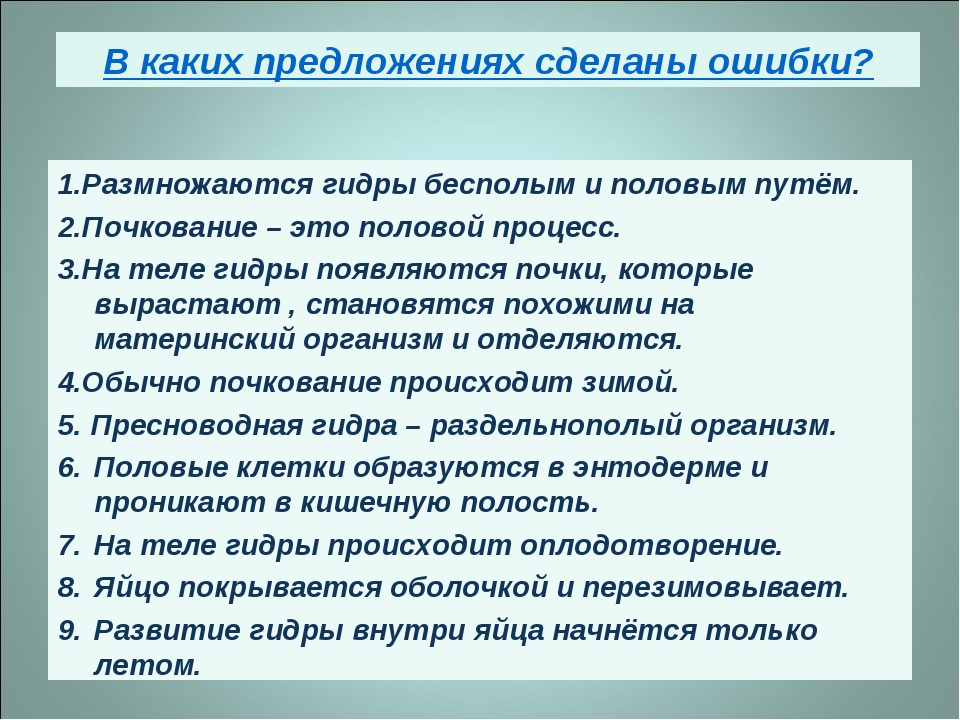Гидра и кракен